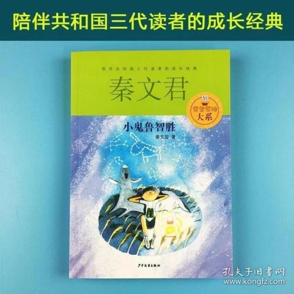 小勇士救公主
